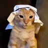 Profilbild von Muslims Posting Their W's