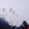 Kuta Parado 的头像