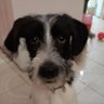 Profilbild von R M