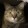 Profilbild von 田中