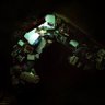 EP1's profile picture
