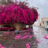 Фото профиля الجدة الكيوت