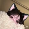 Profilbild von xiaomilala