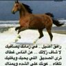 ابومحمد's profile picture