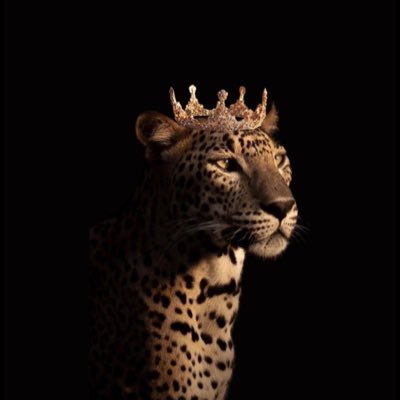 trendsama11's profile picture