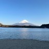 ぴまり profil fotoğrafı
