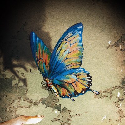 nodonisasaru's profile picture