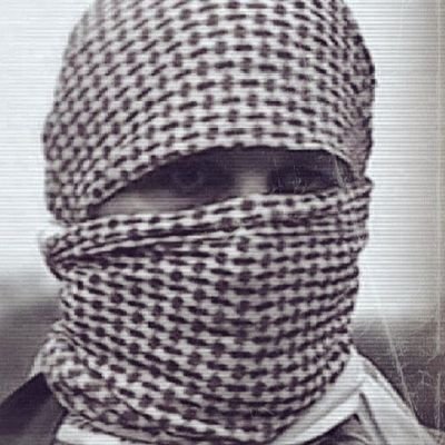 AyahTranslates's profile picture