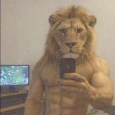 amin_ibrahim9's profile picture