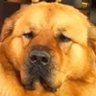 Unproud profil fotoğrafı