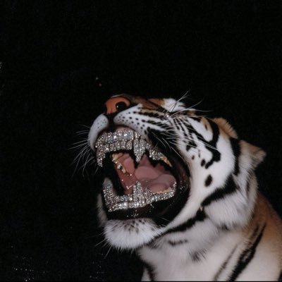 babynis00's profile picture