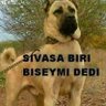 Kemal FişekAslan profil fotoğrafı