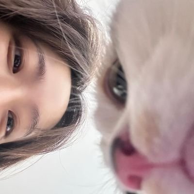vvkhfolder's profile picture