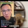 Profilbild von 安卓猫