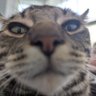 Profilbild von Nird