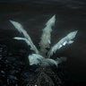 A's profile picture