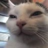 Profilbild von tizi
