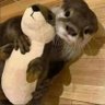 Profilbild von OtterGaming911