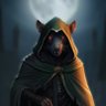 Profilbild von NiMR3V