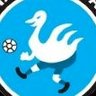 Abrahão's profile picture