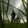 Profilbild von Everyonesthoughts