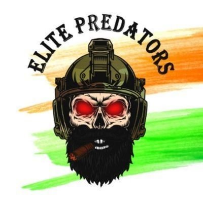 EP's Insights's profile picture