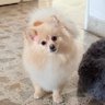 Bahía's profile picture