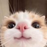 ไม่มีมายอาโปจะอยู่ยังไง//ตัวป่วนทวิตกลับมาละ profil fotoğrafı