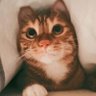 Profilbild von Elon Barends