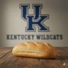 BigBlueHoagie profil fotoğrafı