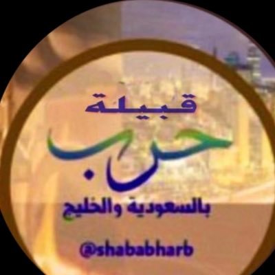 shababharb's profile picture