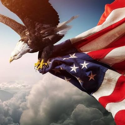 MAGAMANX🇺🇸's profile picture