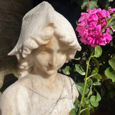 AleNavarrete05's profile picture