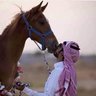 Profilbild von درع DR3 التميمي