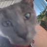 Boobalu's profile picture