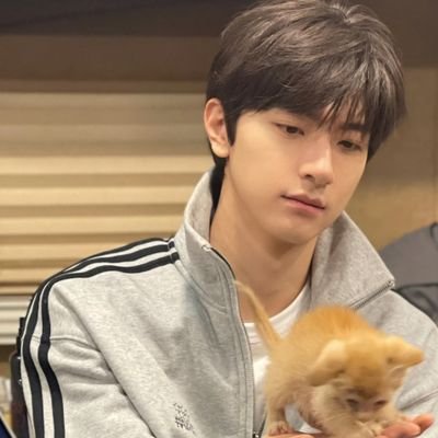 aah117916's profile picture