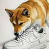 Cagnetto RT 🐾🐶 (8k) profil fotoğrafı