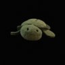 Profilbild von Derpy Turtle
