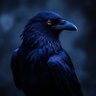 Raven's profile picture