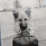 小林弘子's profile picture