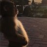 ffy profil fotoğrafı