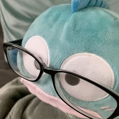 한교뎡's profile picture
