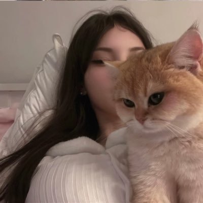 Yoalo's profile picture