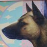 KJavierRManrique's profile picture