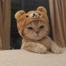 krait's profile picture