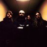 Like Moths to Flames's profile picture