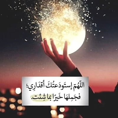 Renad00AlHarbi's profile picture