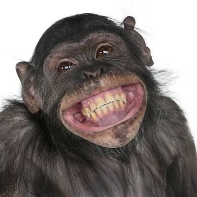 FunnySight's profile picture