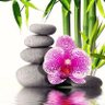 Pramod H G 的头像