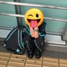 Profilbild von のあㄘ